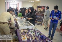 گزارش تصویری |  چهارمین کارگاه آموزشی  متالوژنی ایران  | متالوژنی کانسارهای طلا در ایران 